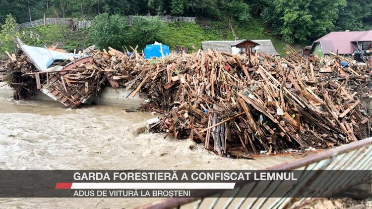 O grămadă imensă de bușteni și resturi de lemn aduse de o viitură, lângă un râu cu apă tulbure.